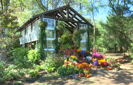Micro-wedding venue in Forest works to relieve stress on the big day